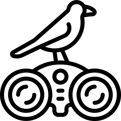 Observação de pássaros Icon