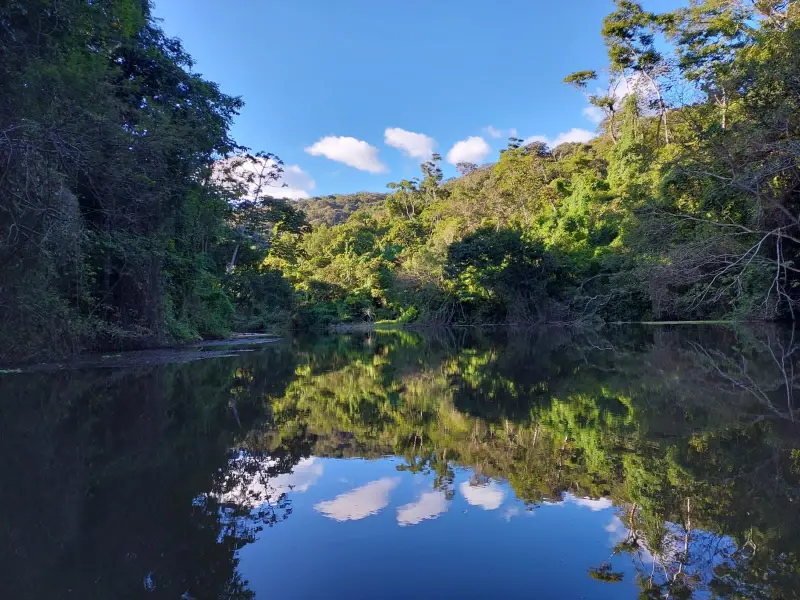 Abrir galeria na imagem 1