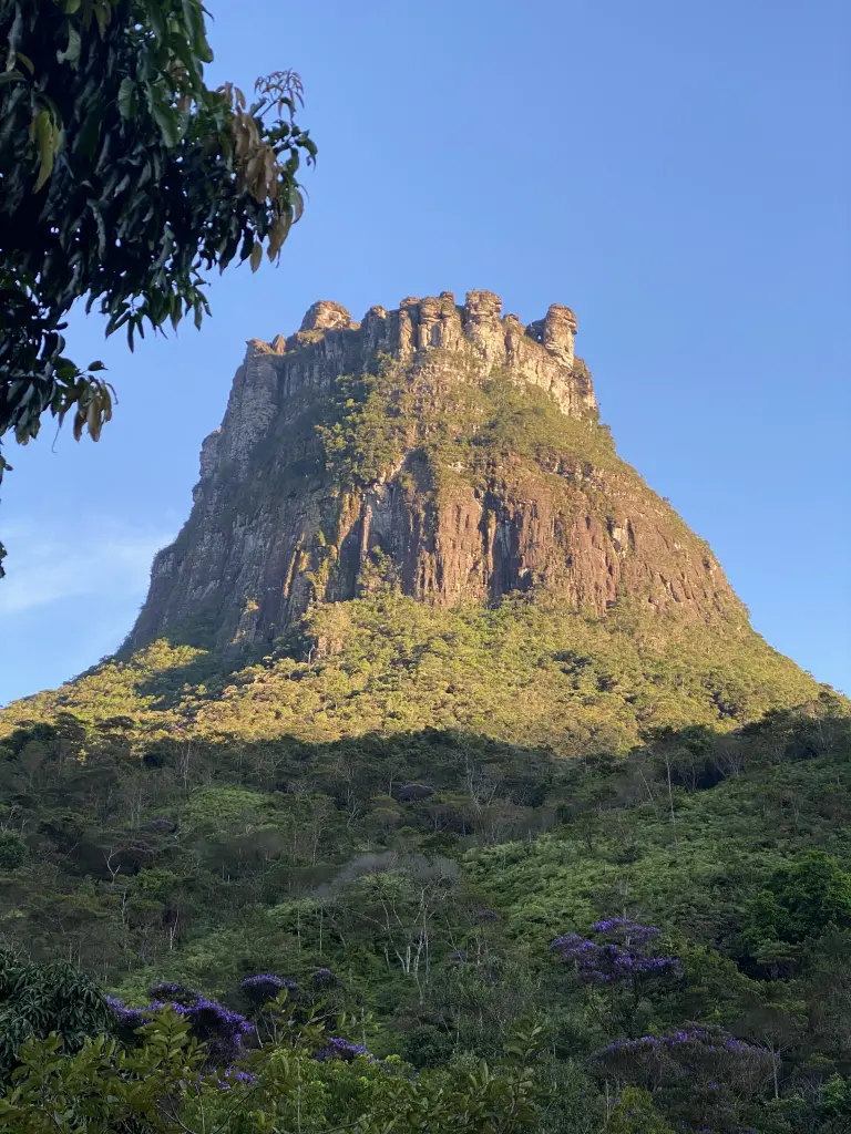 Abrir galeria na imagem 1