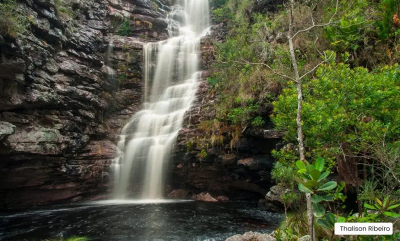 Abrir galeria na imagem 1