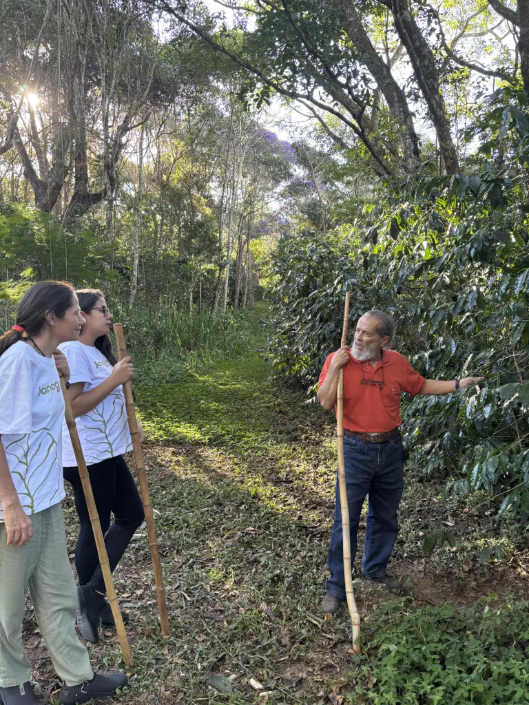 Abrir galeria na imagem 1