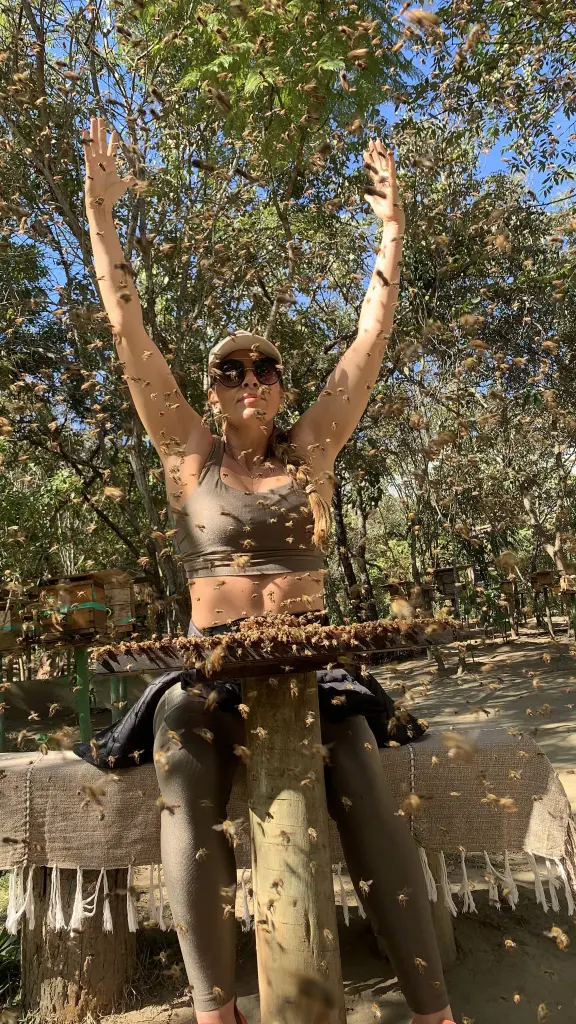 Abrir galeria na imagem 1