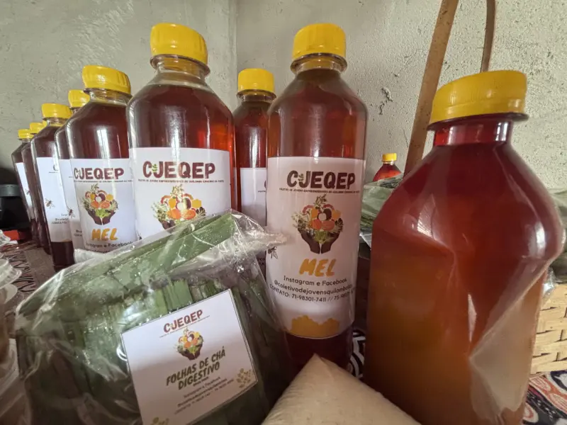 Abrir galeria na imagem 1