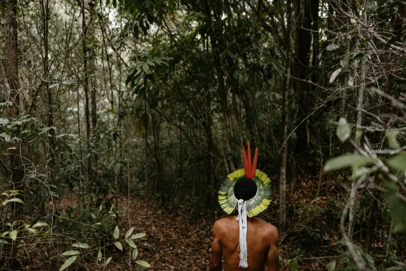 Abrir galeria na imagem 1