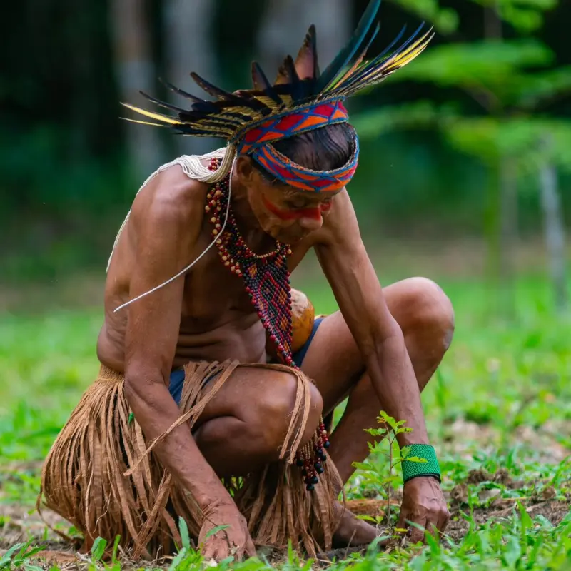 Abrir galeria na imagem 1