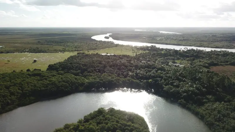 Abrir galeria na imagem 1