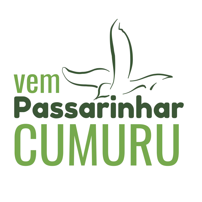 Abrir galeria na imagem 1