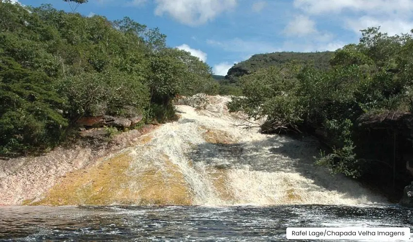 Imagem Principal da Galeria