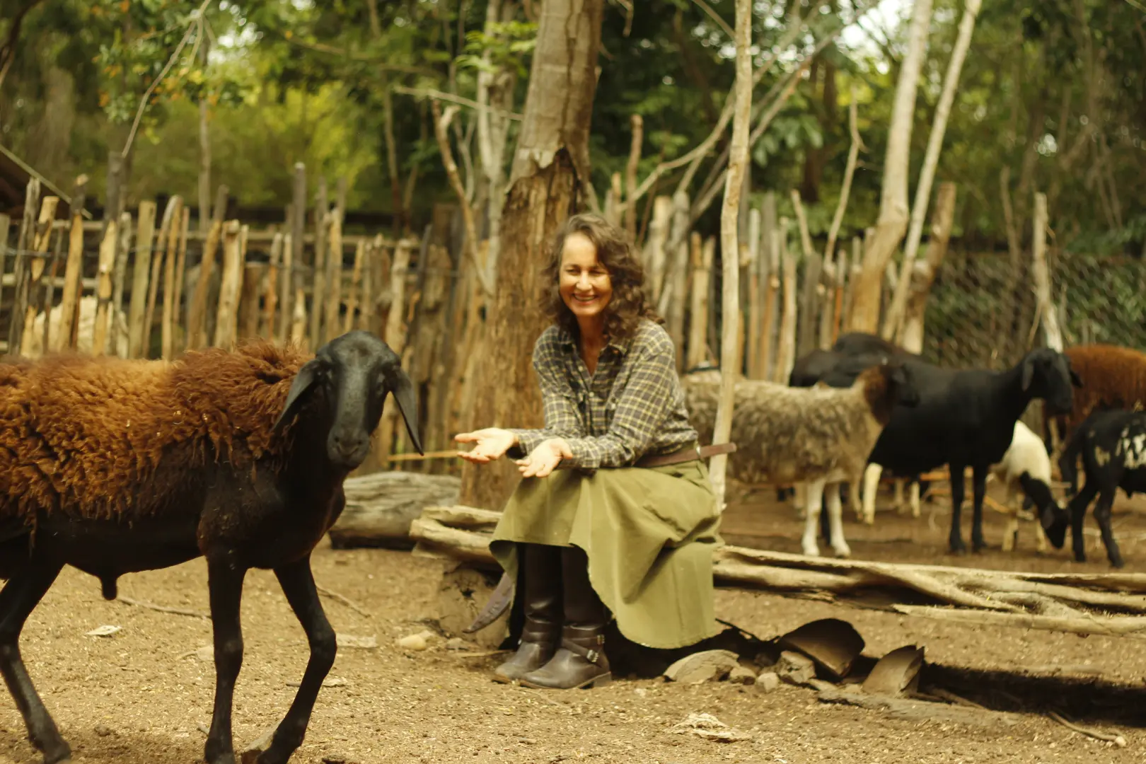 Imagem Principal da Galeria