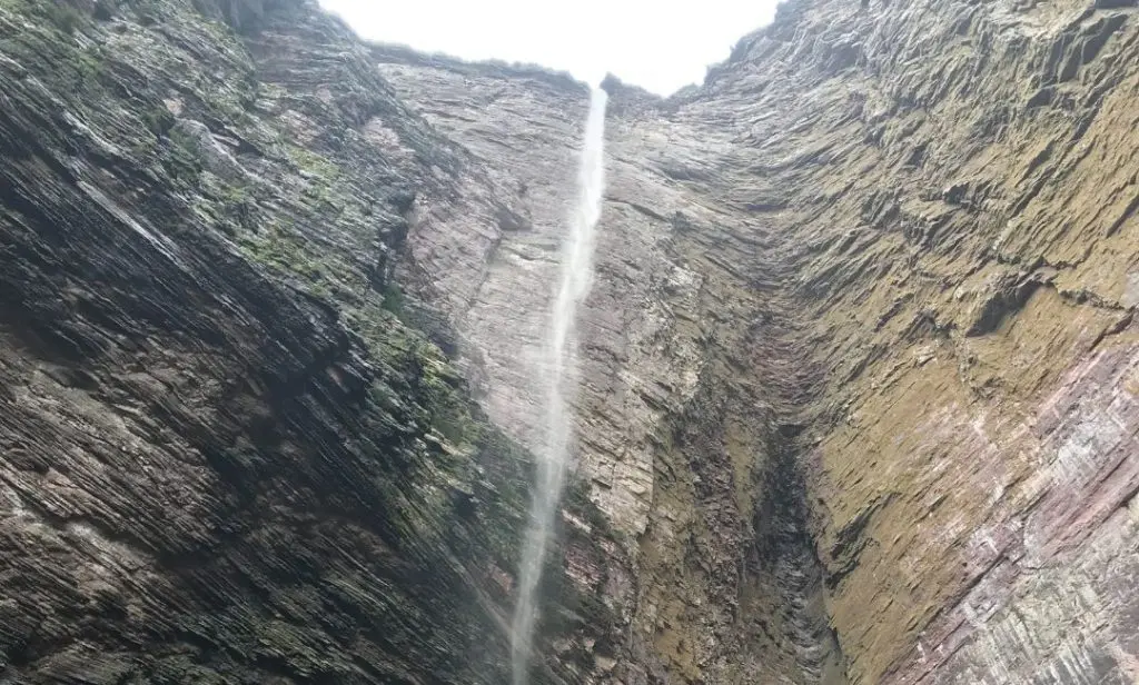 Imagem Principal da Galeria