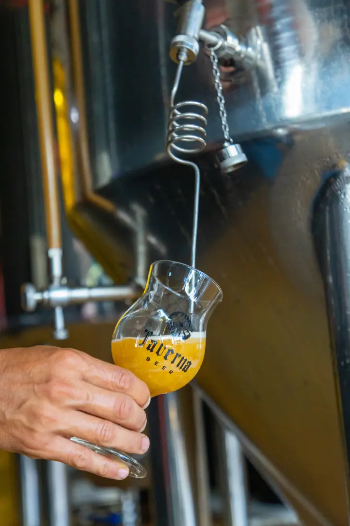 Imagem Principal da Galeria