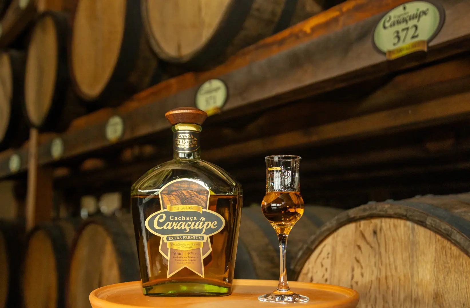 Imagem Principal da Galeria