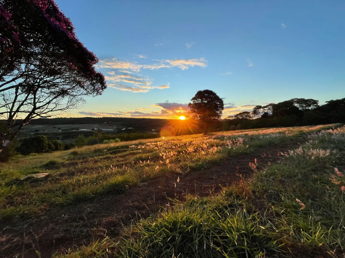 Imagem Principal da Galeria