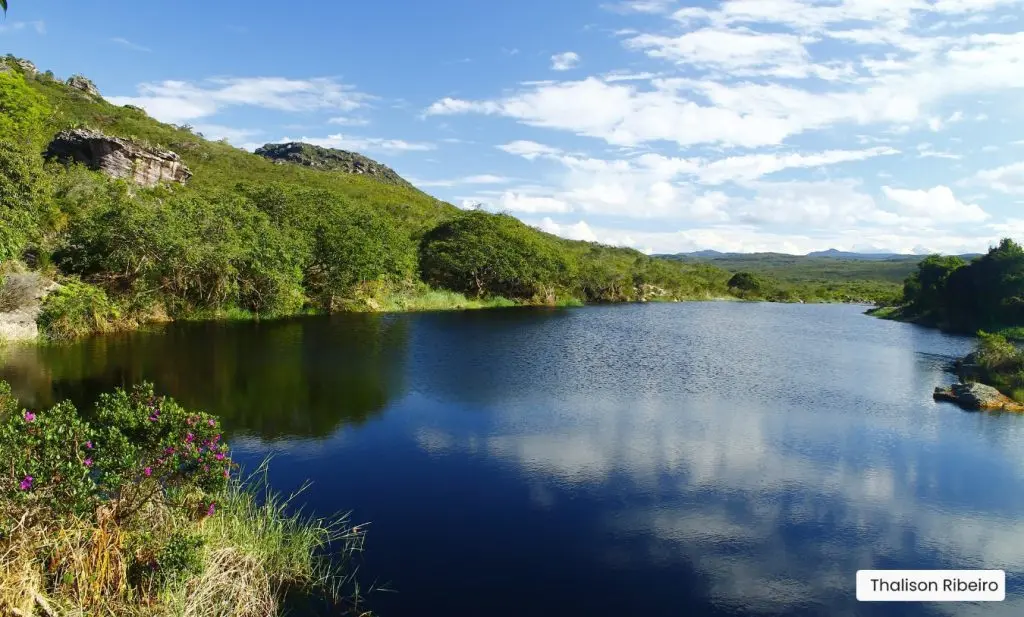 Imagem Principal da Galeria