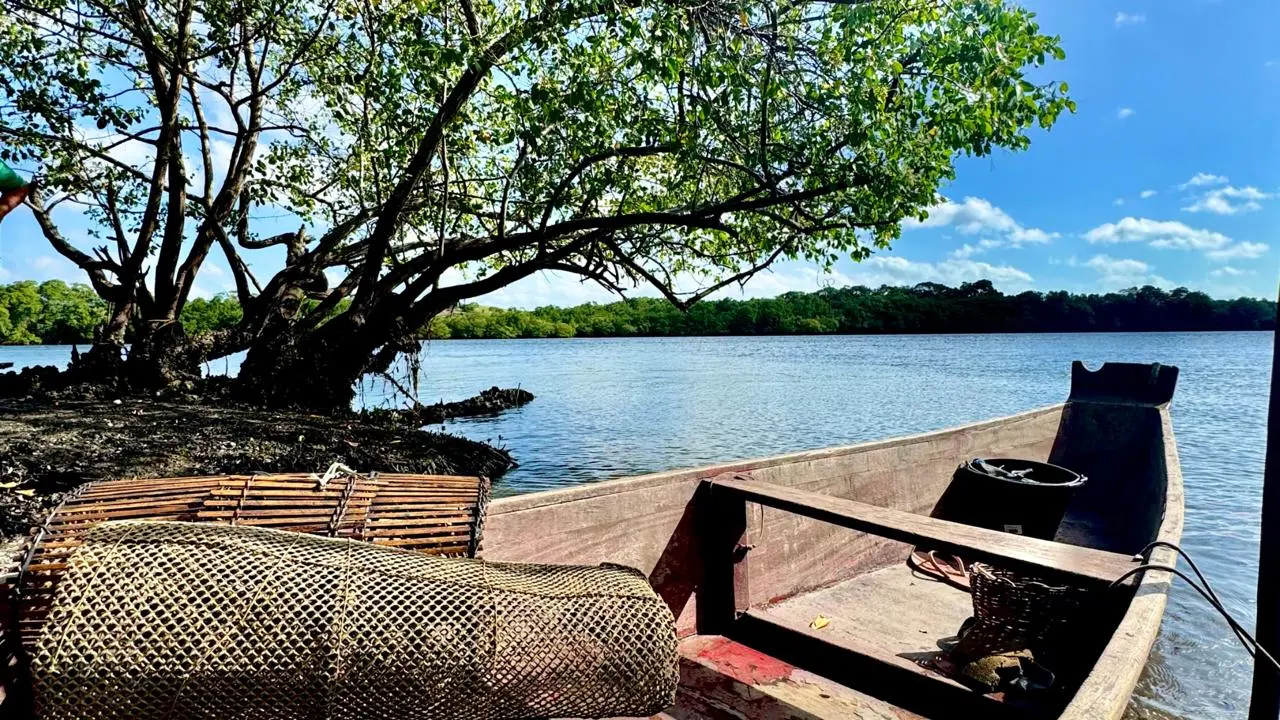 Imagem Principal da Galeria