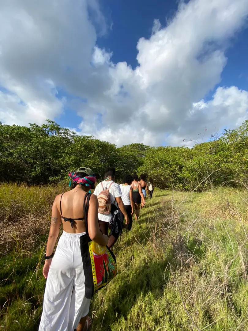 Imagem Principal da Galeria