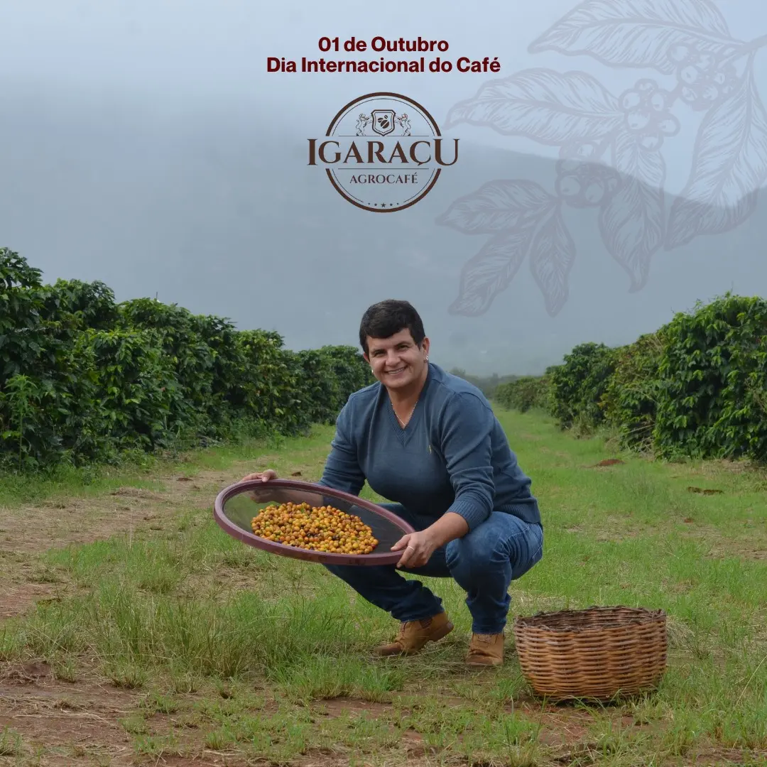 Imagem Principal da Galeria