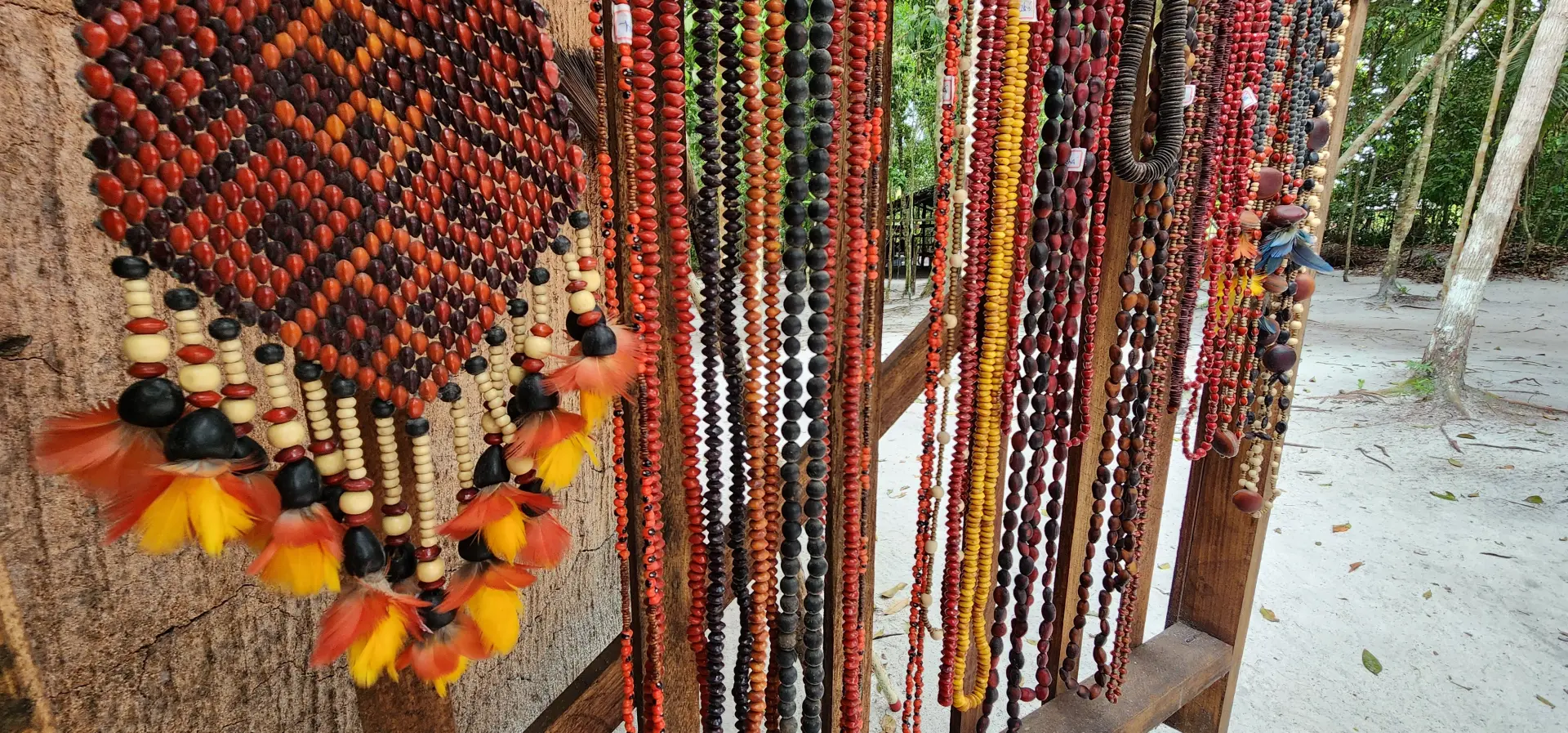 Imagem Principal da Galeria