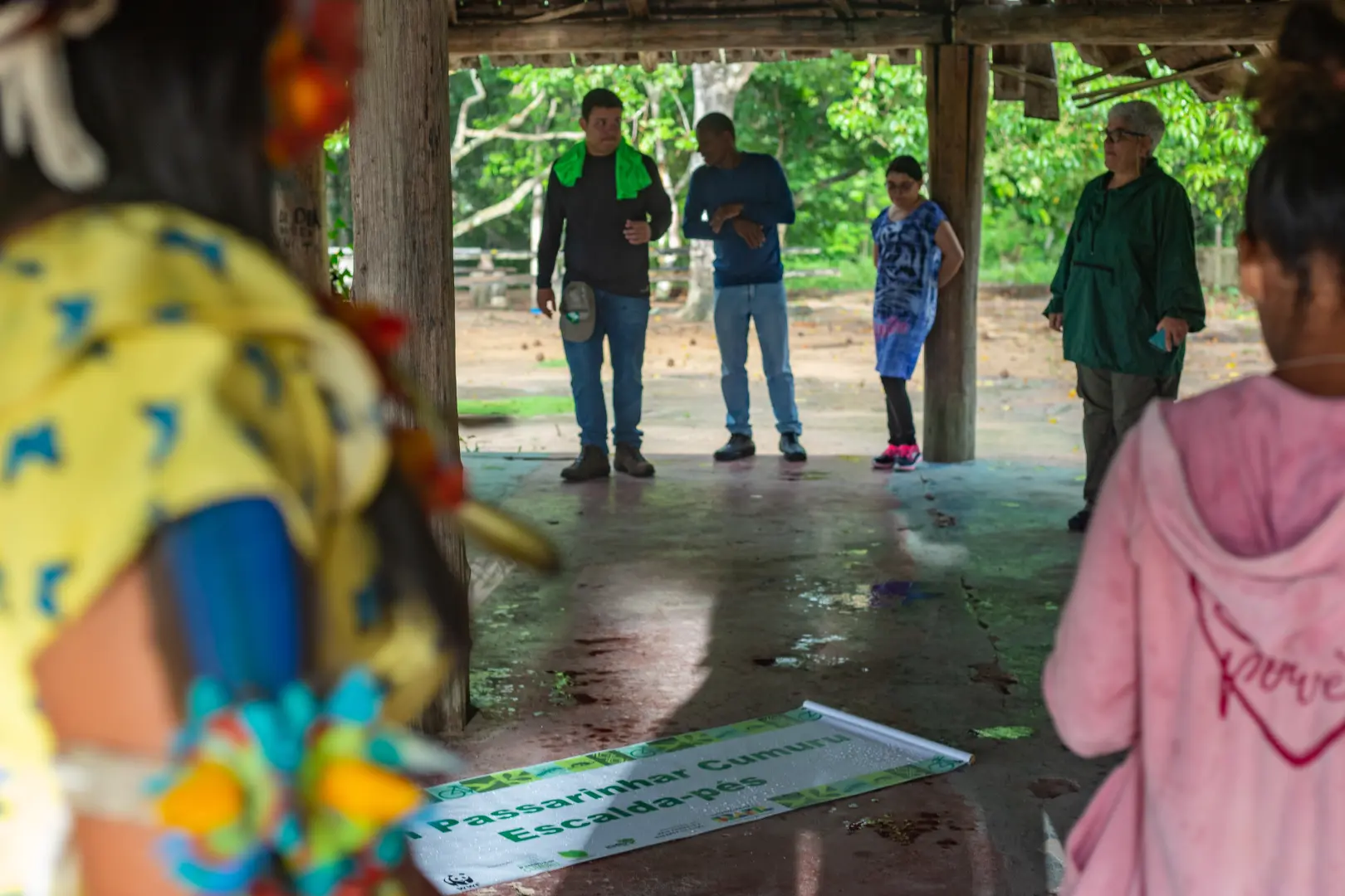 Imagem Principal da Galeria