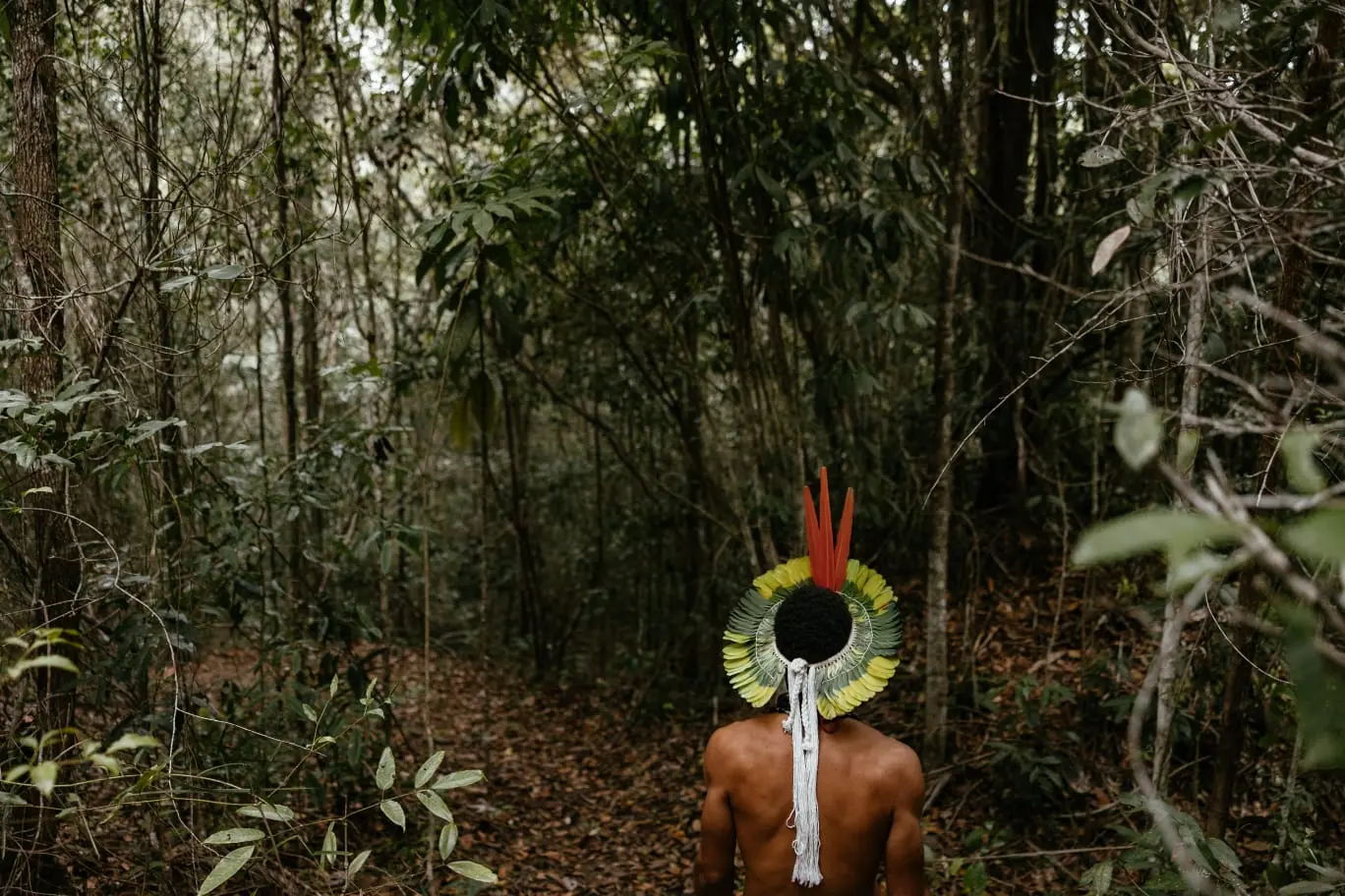 Imagem Principal da Galeria