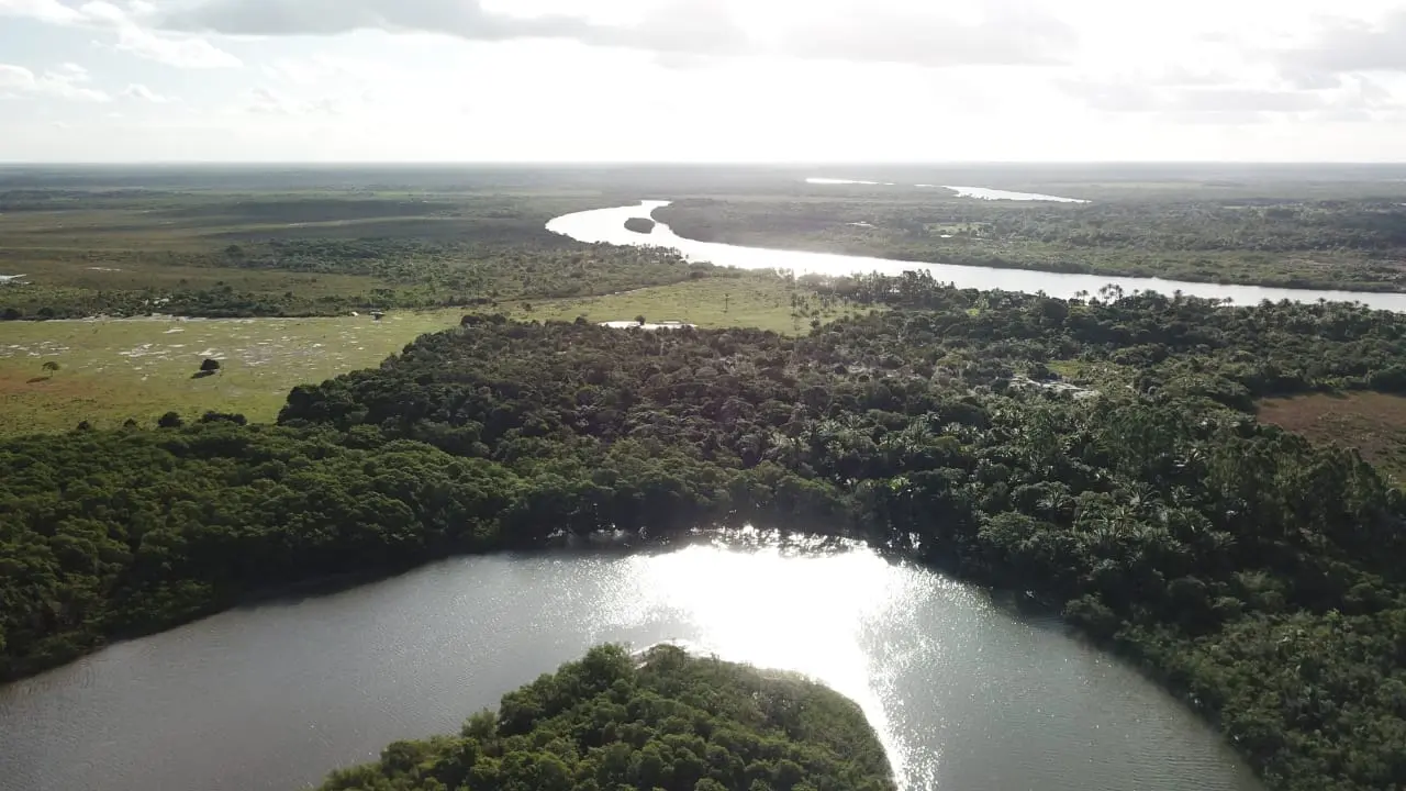 Imagem Principal da Galeria