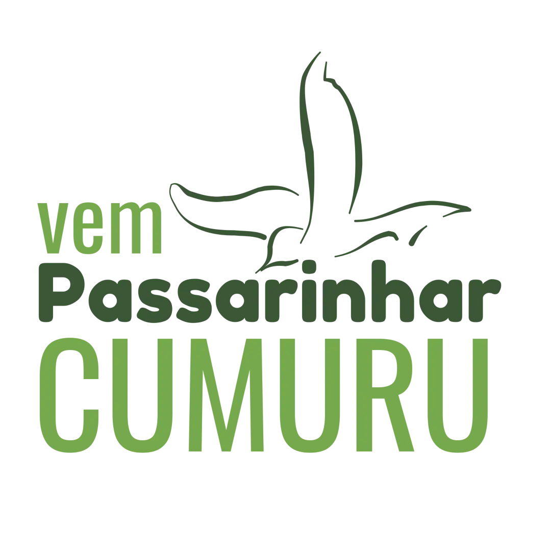 Imagem Principal da Galeria