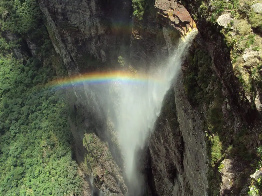 Imagem Principal da Galeria